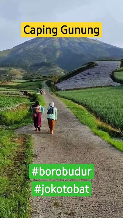 Caping Gunung#jokotobat#alam#gunung #borobudur
