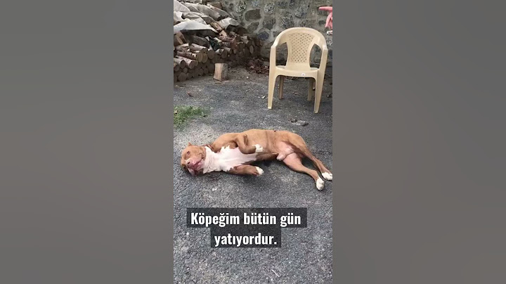 Yeter artık yatmaaa 🤪
