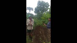 Modernisasi dalam bidang pertanian