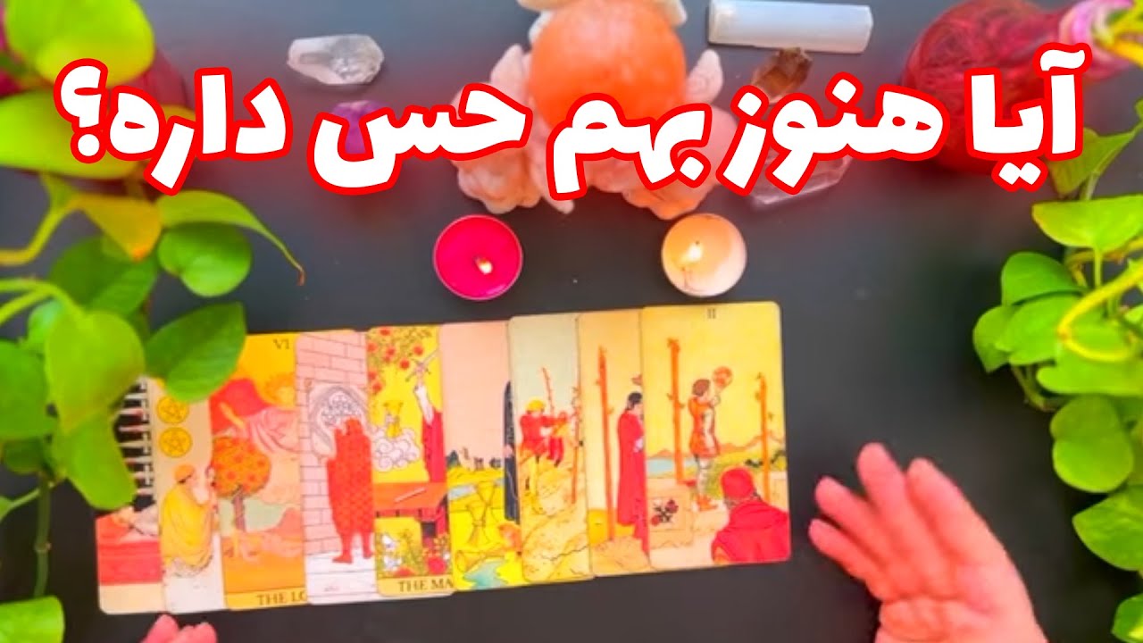 فال تاروت مرلین - آیا هنوز بهم حس داره؟