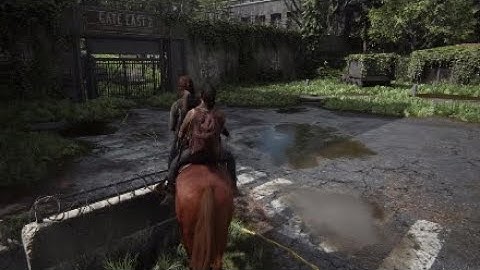 Pass Code East Gate 2-The Last of Us 2