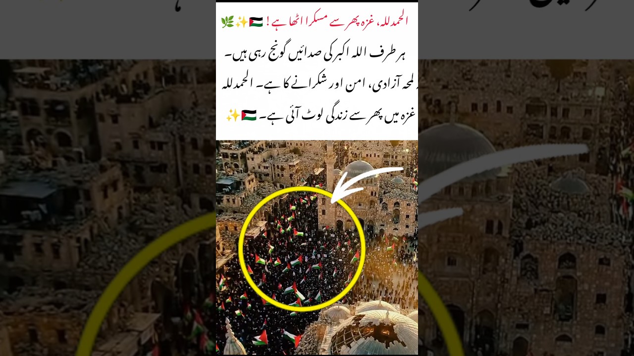 Peace Returns to Palestine