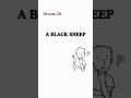 idiom 38.    "A black sheep".         #youtubeshorts