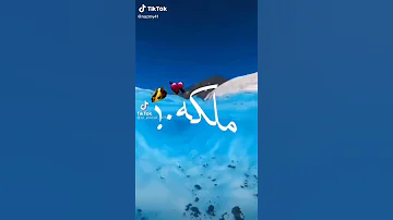امي ياست الناس ملكه الاحساس 