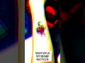 trichy Shylus tattoo shop
