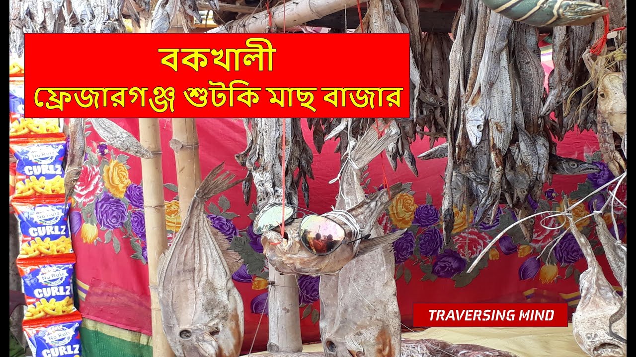 Bakkhali | Fraserganj | Dry Fish Market | Bakkhali Tourist Places | Bakkhali Tour Guide