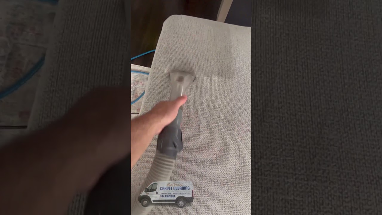 Cleaning dirty Upholstery! Pet stains 