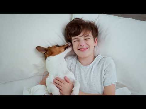 Recharge with CELLIANT® Infrared Technology - video from Celliant