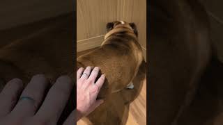 Oh Thats A Lovely Bum Bum