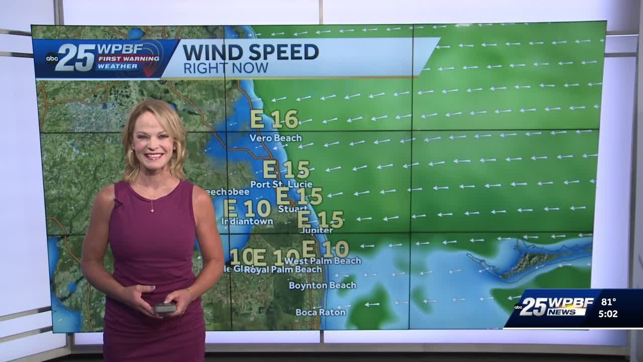 Tropics update plus breezy with chance of showers for South Florida ...