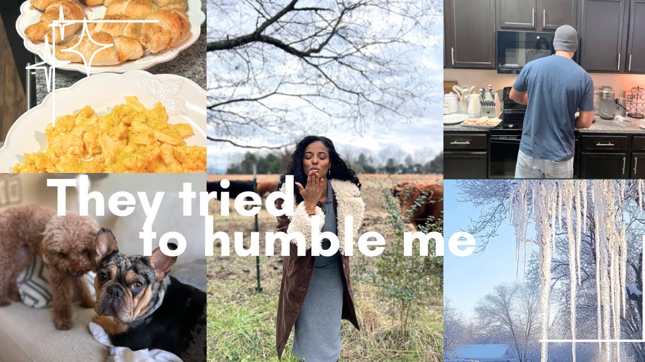 I Got Dragged Online for Being Confident ❄️ Cozy Winter Vlog & Homemaking Storytime