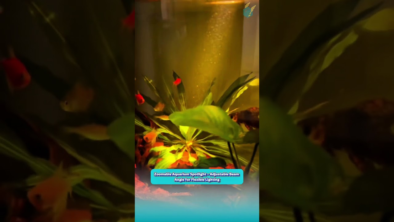 Zoomable Aquarium Spotlight – Adjustable Beam Angle for Flexible Lighting