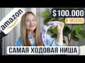 Самая ходовая ниша для продаж на Амазон. Можно получать $100,000 в месяц
