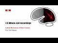 2.5 Whole-cell recordings