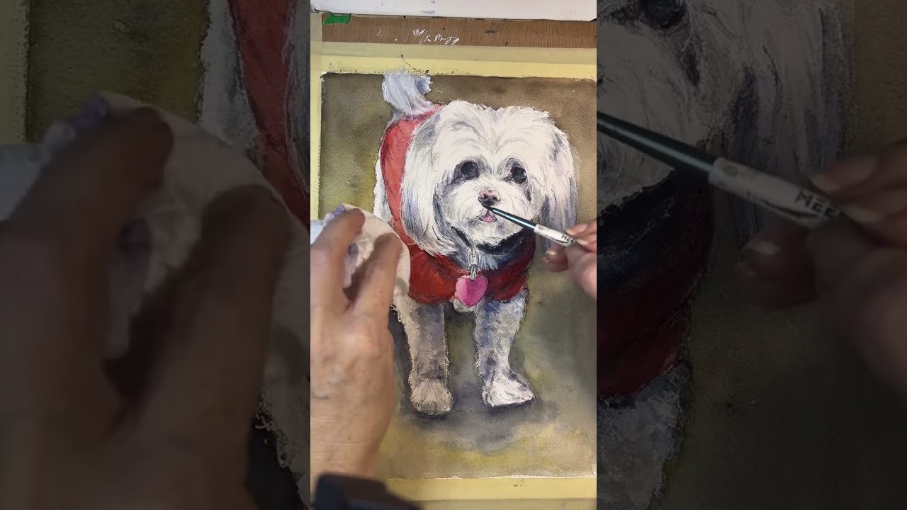 Live recap, custom dog watercolor painting 