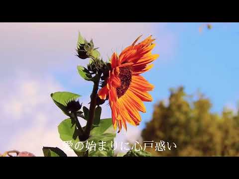 HOWEVER／GLAY(covered by JiN) 原曲Key