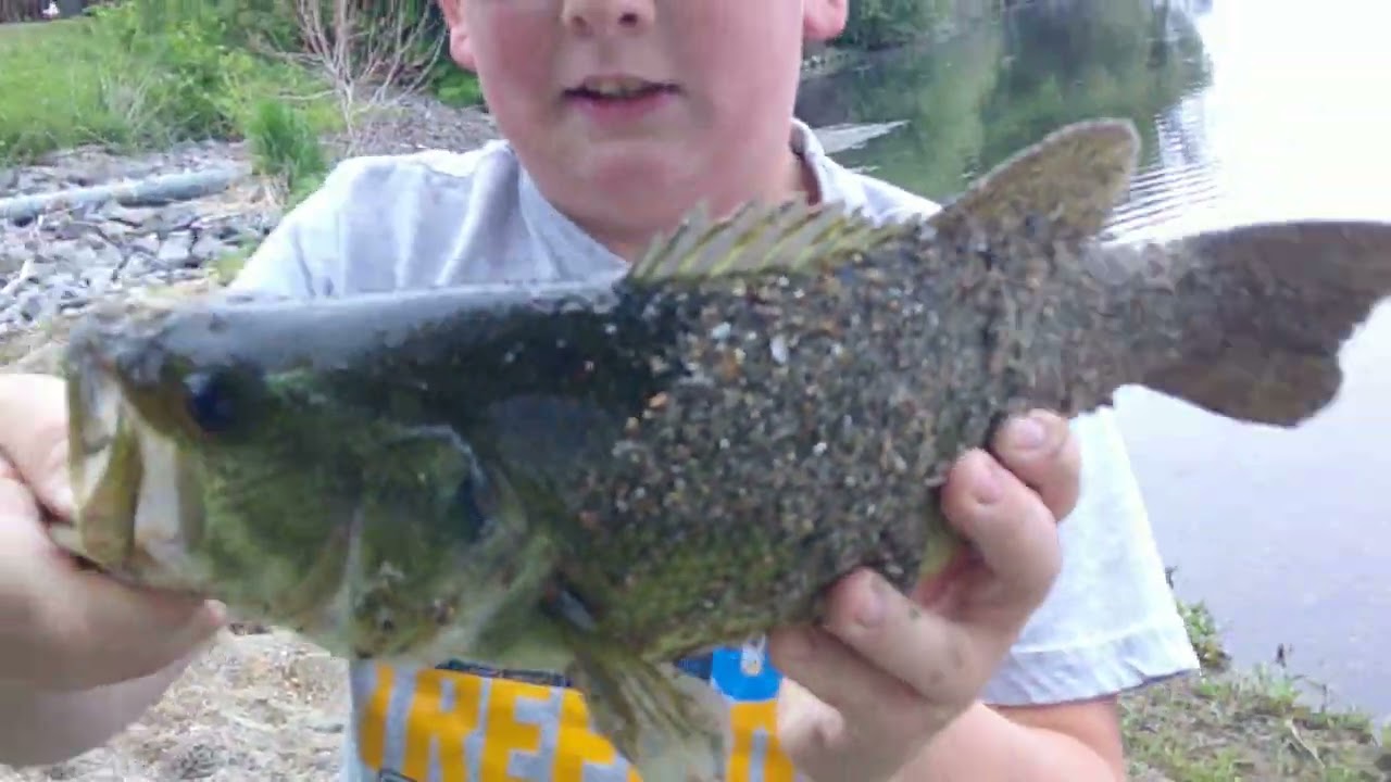 bass fishing with a micro lure