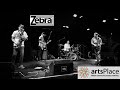 Zebra  virtual concert at artsplace