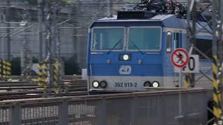 Trains And Trams In Prague 20220731