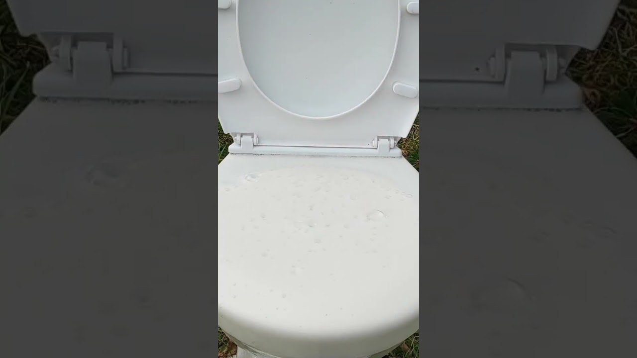 MIRINDA, TEA, 7UP, COFFEE, VODKA, BEER vs MENTOS in TOILET | 