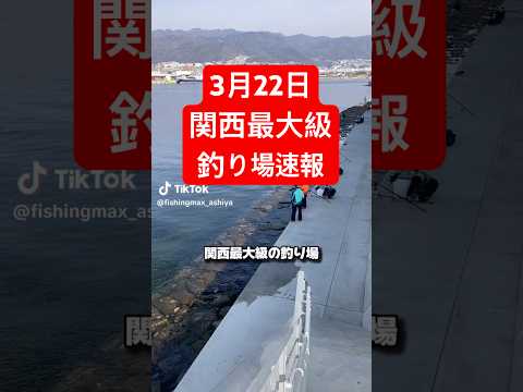 3月22日関西最大級釣り場最新釣果情報‼️‼️ #shorts #short