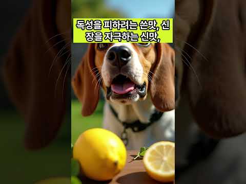 우리 강아지가 '이 음식' 절대 안 먹는 소름 돋는 이유! (본능적 거부)