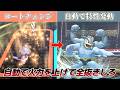 自動で根性発動させれば全抜き楽勝じゃね?ww【Pokémon Champions】