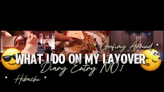 Digital Diary NO. 1 || Layover chronicles