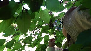 一人で育児も他もしてみたら割と疲弊して詰んだ