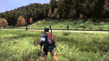 dayz train dank