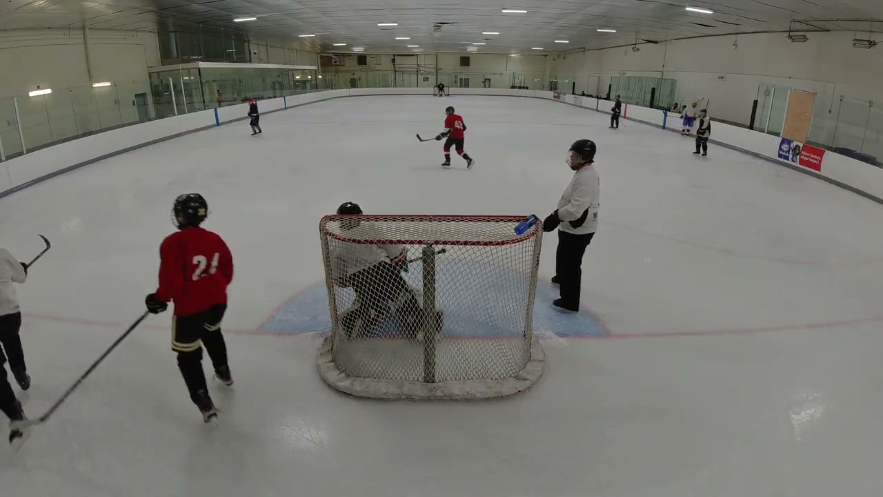 DJI 0563 004 Oriole Shinny Dark shooting 11 Feb 2026 Part 4/5