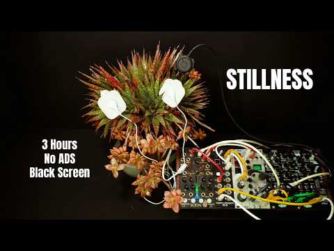 3 Hours of Living Plant Music 🌿 (No Ads • Black Screen • 432Hz)