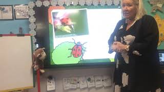 Reception - Mrs Darby - Minibeasts and their habitats - 1.3.21