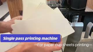 Paper Cup Sheets Printing by Single Pass Printer With Automatic feeder