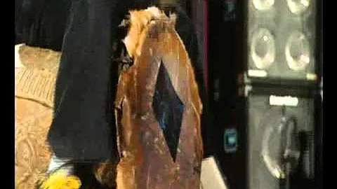 Seun Kuti & Egypt 80