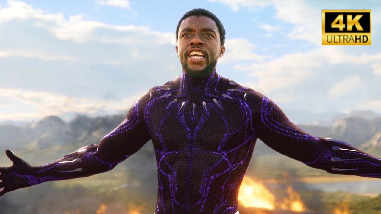 Black Panther: Rise of a New King. 4K Movie Recap.