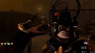 Black Ops 2 zombies, Town, survival