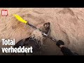 Namibia, Afrika: Kayak-Fahrer befreit Robben aus Angelschnur