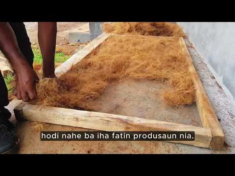 Parte 6: Oinsá atu Produz Produtu Oi-oin hosi Fibra no Kulit Nuu nian - Folla Fibra