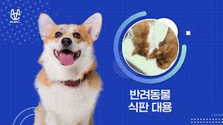 스스스스배변패드 1안 1920x1080 20220303