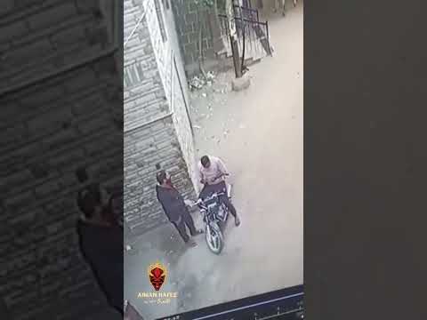 ظهور جن في صورة قط أسود جن شيطان عفريت شبح الجن غريب غامض مخيف مرعب رعب قط اسود غموض خطير قاعدة رعب