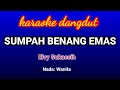 Sumpah Benang Emas-Elvy Sukaesih Karaoke