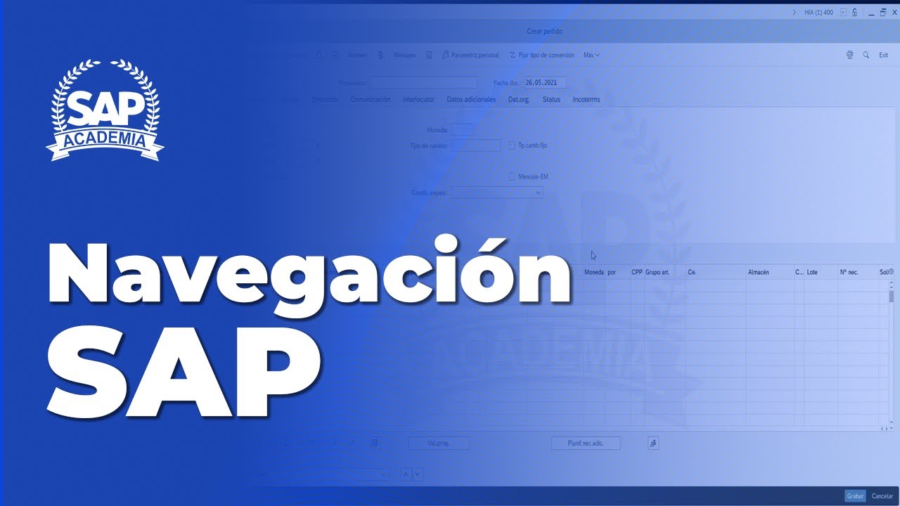 Navegación SAP