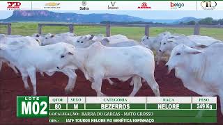 LOTE M02