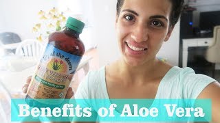 Benefits Of Aloe Vera | Gut Health & So Much More