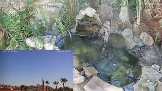 24/7 Live AZ Skies.. No AI imagery here! 100% real sights!!