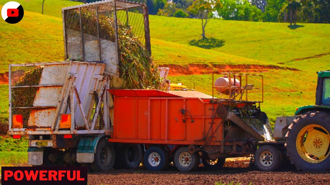 Powerful Agriculture Satisfying  Machines Amazing Work On Another Level Ep  07