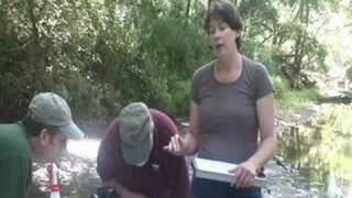 Stream Monitoring - The Data