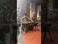 迪化街古箏演出（周進發）每週日11:00-17:00