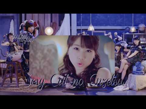 「セクシーキャットの演説」を歌ってみた